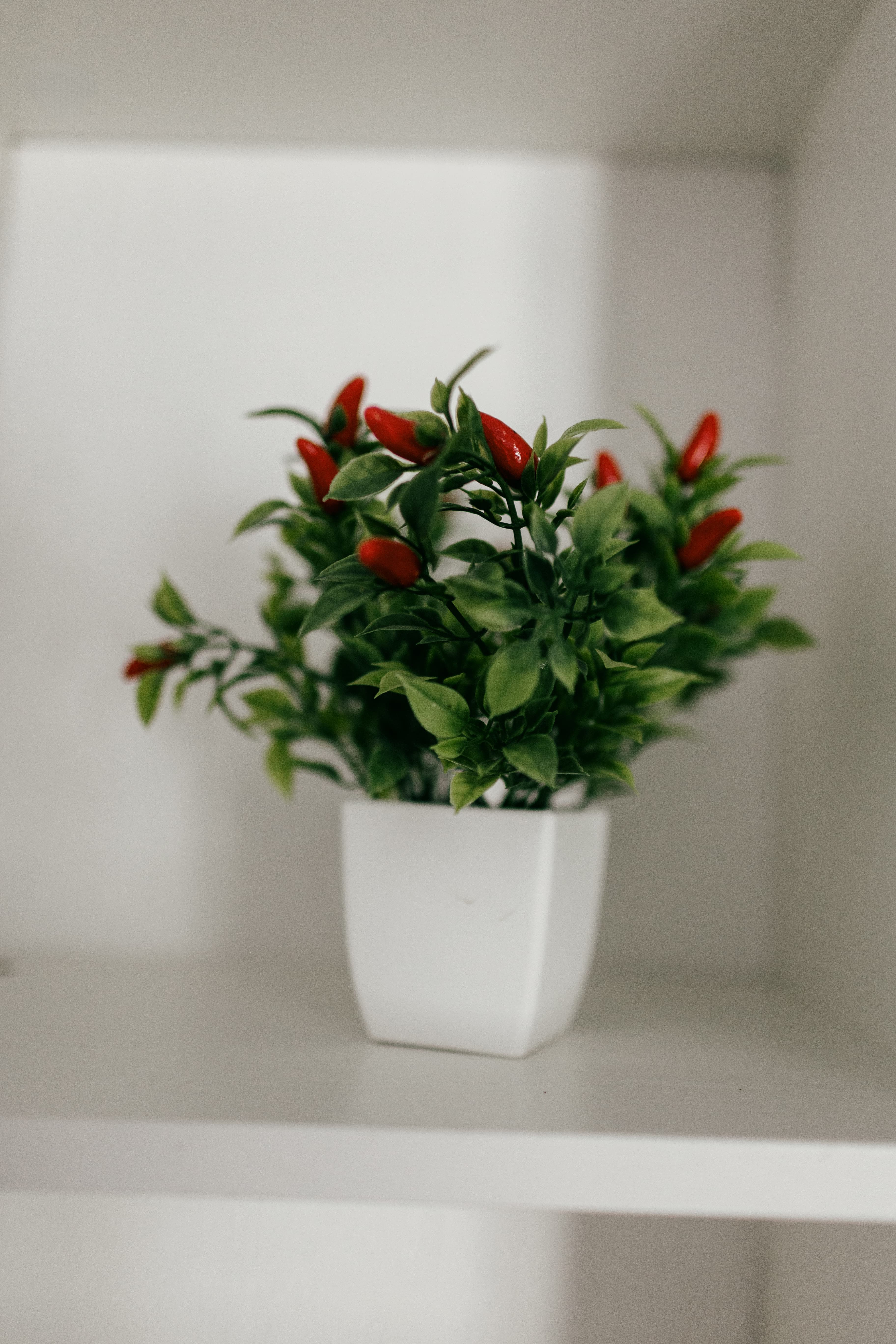 Интерьер и детали декора в гостевом доме Sunrise